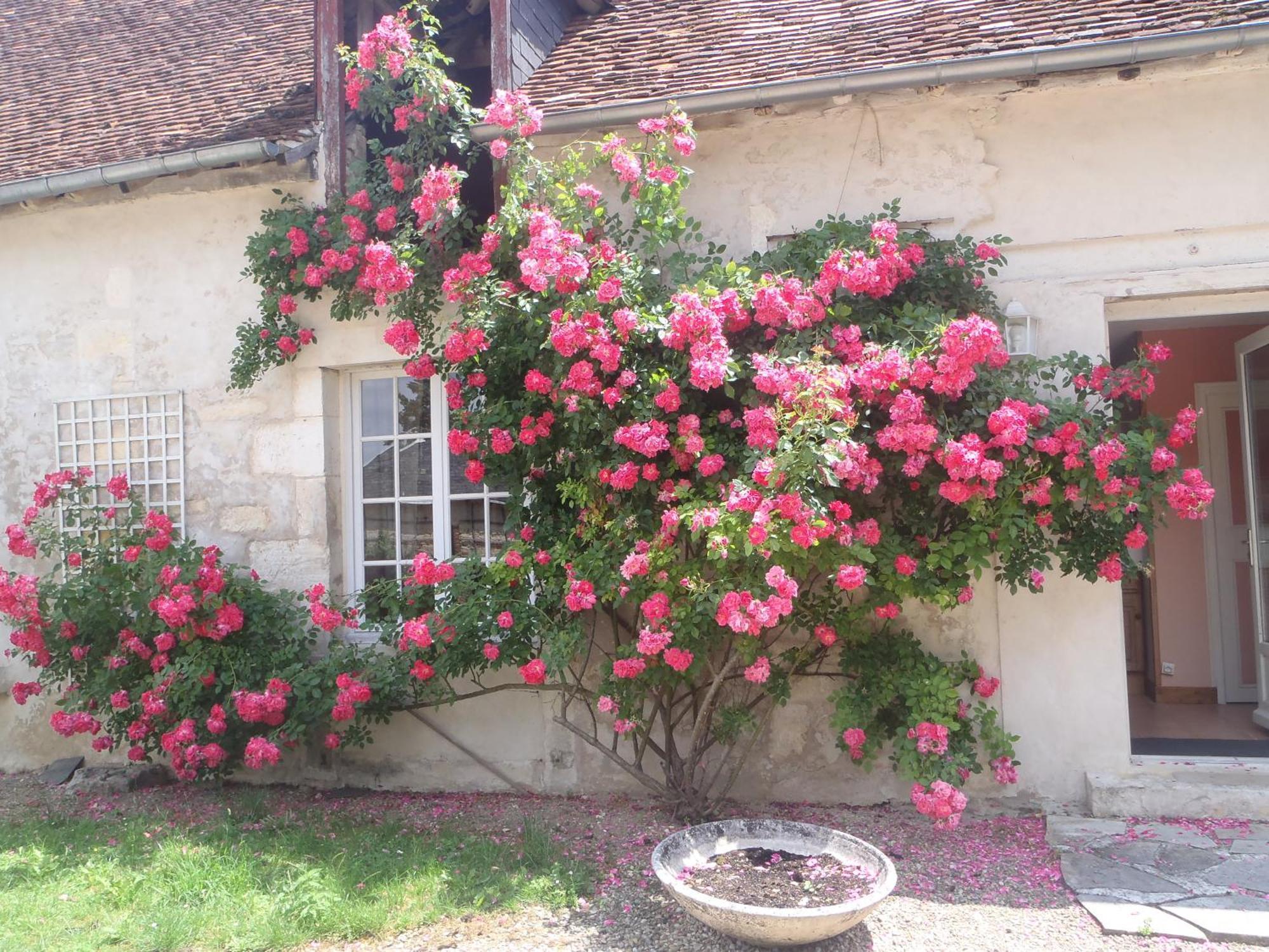 Chambres D'Hotes Du Domaine De Jacquelin サン・ジェルマン・デュ・ピュイ 部屋 写真